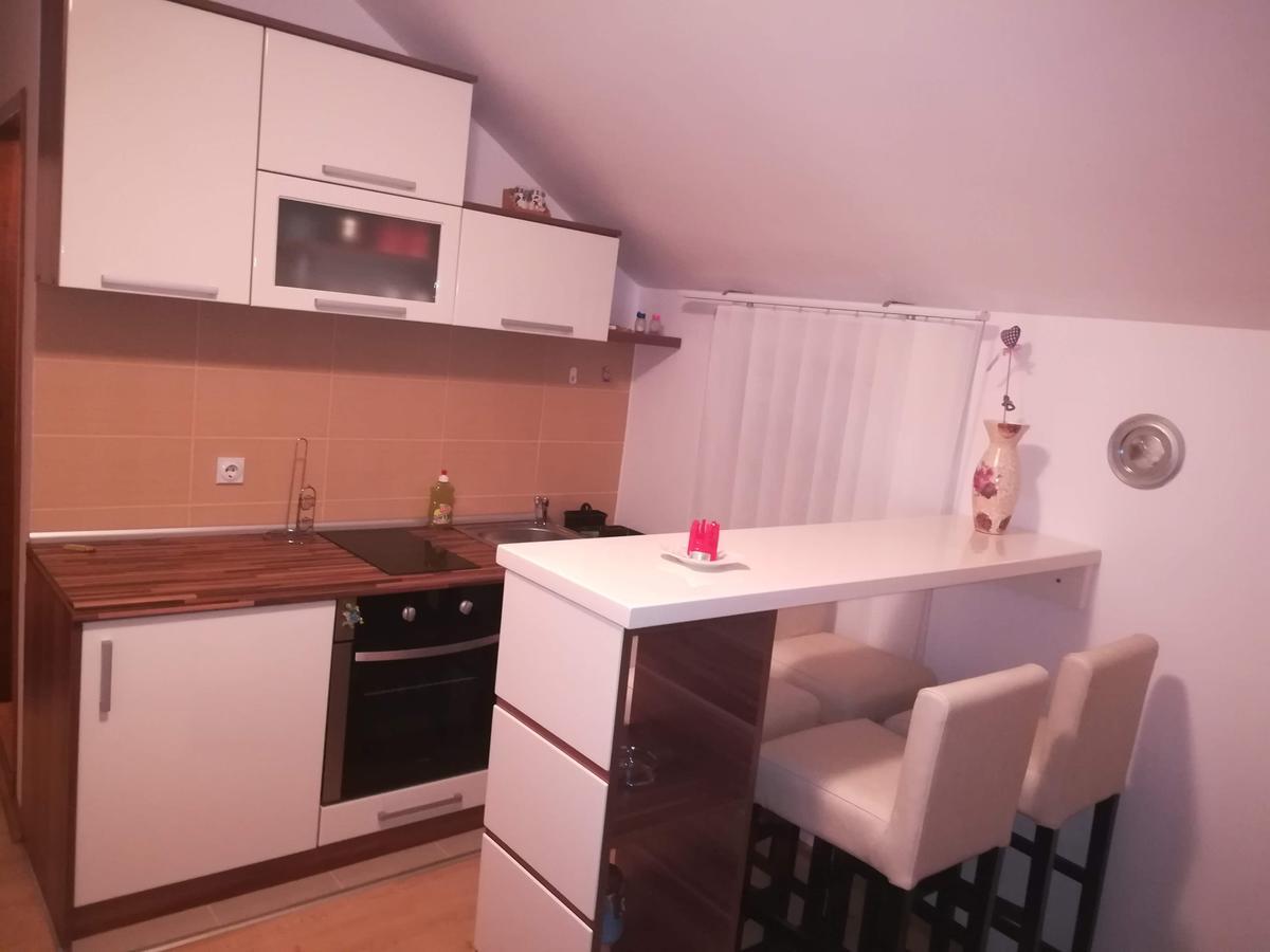 Apartman "Vienna" โซโคบานยา ภายนอก รูปภาพ