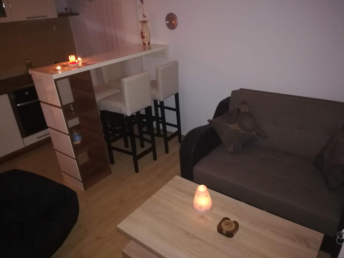 Apartman "Vienna" โซโคบานยา ภายนอก รูปภาพ